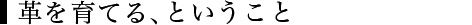 革を育てる、ということ