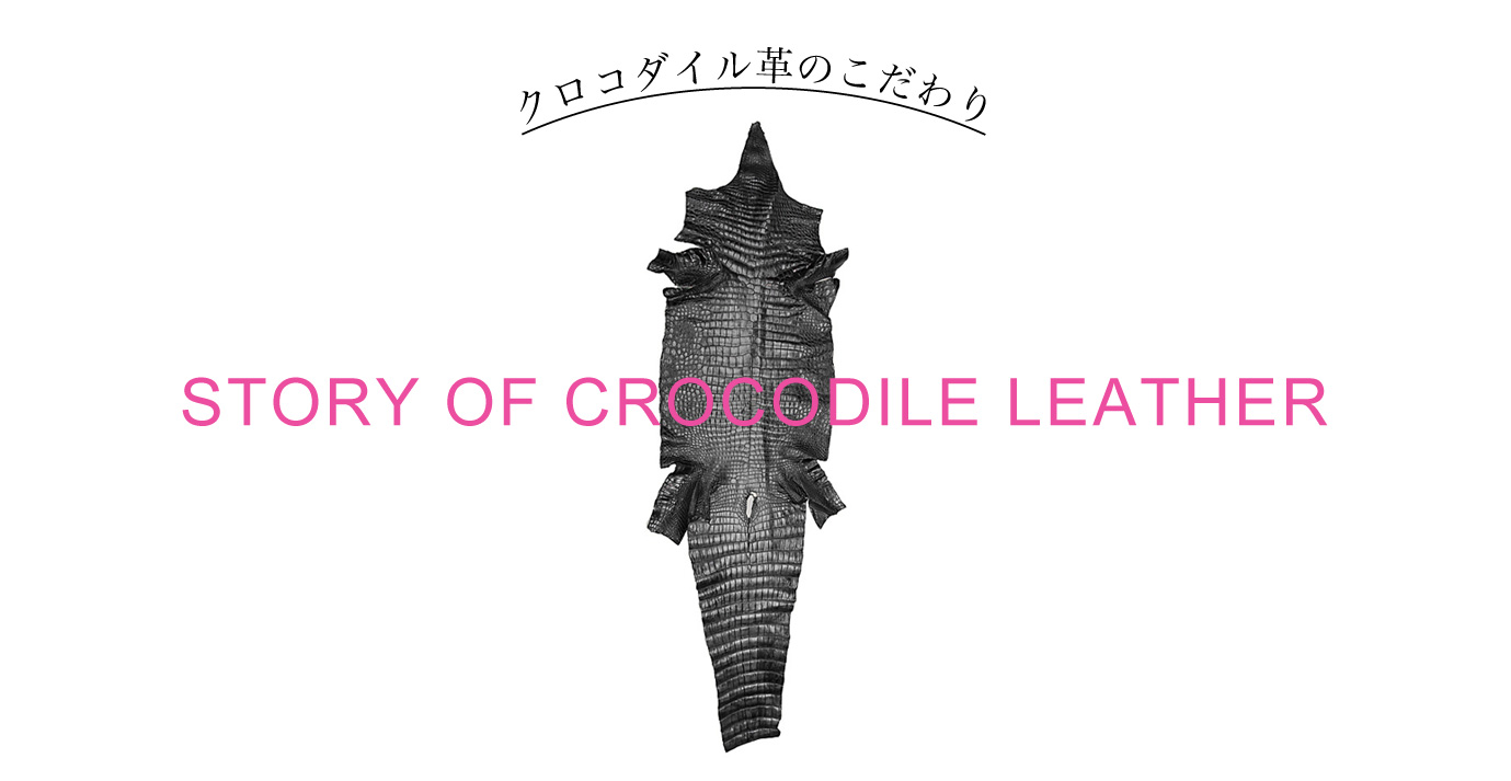 クロコダイル革のこだわり/STORY OF CROCODILE LEATHER