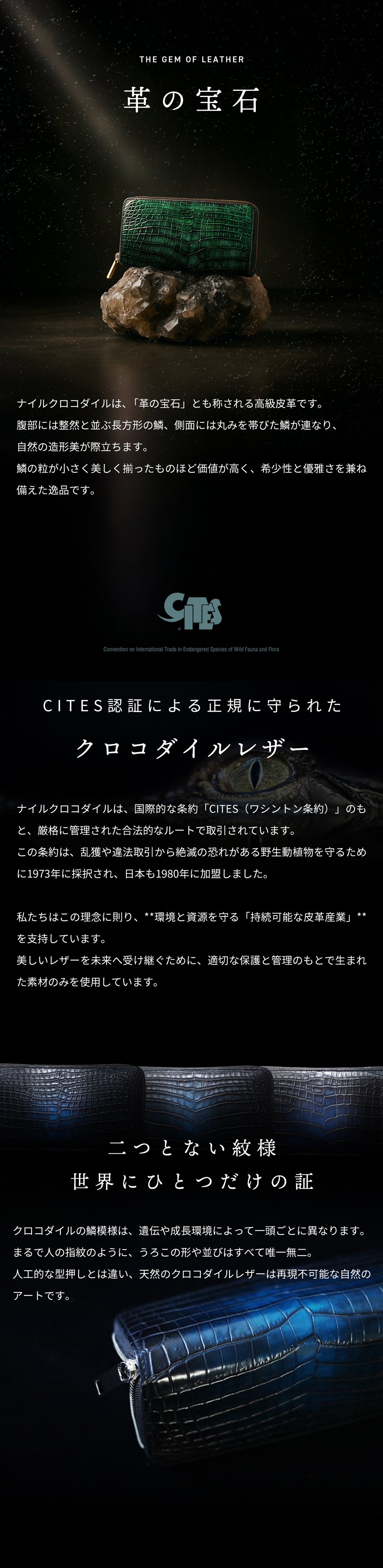 (未使用)皮芸人保証書付ナイルクロコダイル 長財布 スリムLgw007 ナイルクロコダイル革 ラウンドファスナー 長財布 スリム | 手