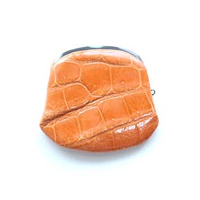 シャイニングサーモンオレンジ