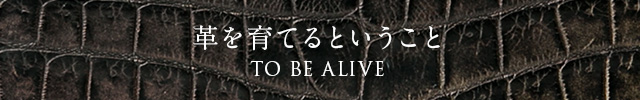 革を育てるということ